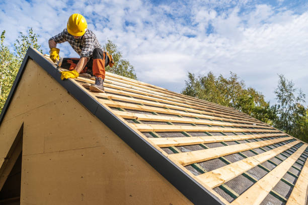 Best Commercial Roof Installation  in Llano Grande, TX